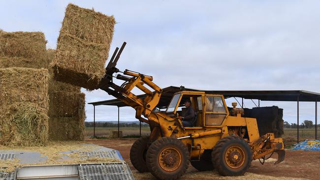 Hay prices are set to rise as a production shortage looms with large scale hay producers in NSW and Victoria favouring grain this year.