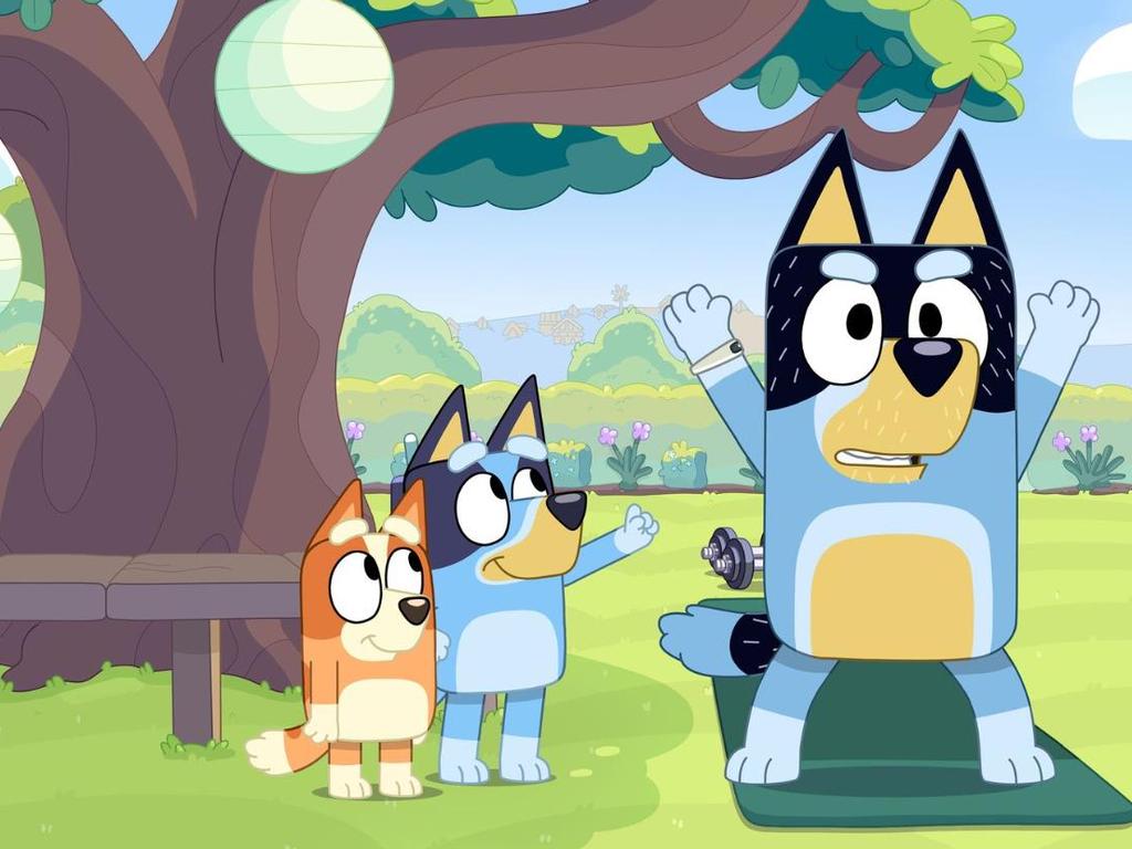 The episode showed Bandit rallying his entire family into doing backyard activities.