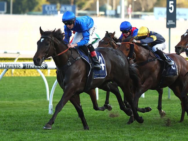 SYDNEY, AUSTRALIA - SEPTEMBER 02: Zac Lloyd riding Pericles wins Race 9 AMD Medical Tramway Stakes  during "City Tattersalls Club Cup Day" - Sydney Racing at Royal Randwick Racecourse on September 02, 2023 in Sydney, Australia. (Photo by Jeremy Ng/Getty Images)