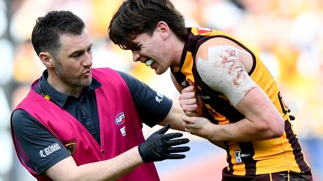 MELBOURNE, AUSTRALIA - AUGUST 18: Will Day of the Hawks receives medical attention during the round 23 AFL match between Hawthorn Hawks and Richmond Tigers at Melbourne Cricket Ground, on August 18, 2024, in Melbourne, Australia. (Photo by Josh Chadwick/AFL Photos/via Getty Images)