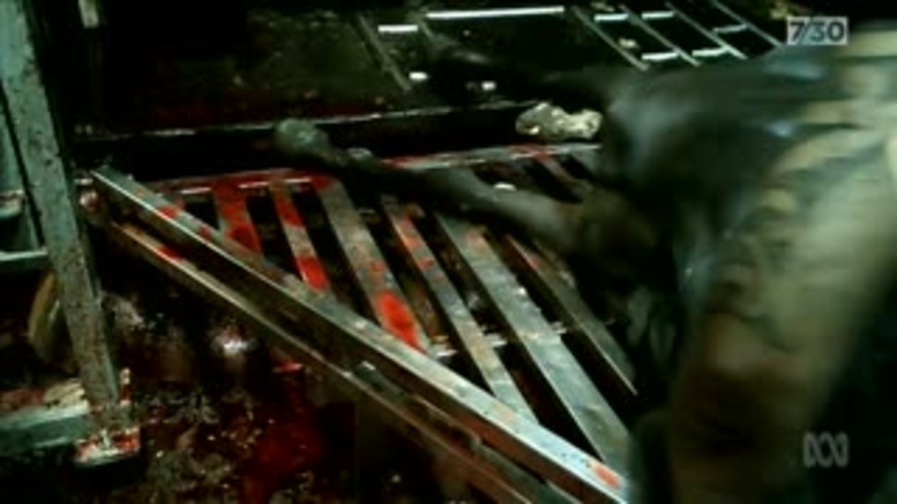 Serious questions have been raised about the welfare of racehorses, with thousands winding up in slaughterhouses.