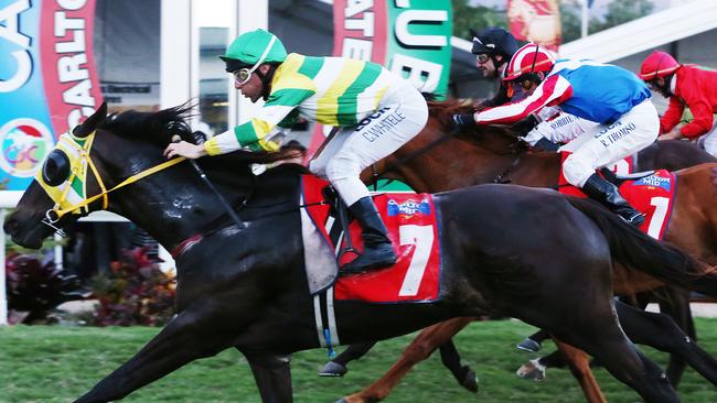 Mainshaft, ridden by jockey Chris Whiteley. Picture: Brendan Radke.