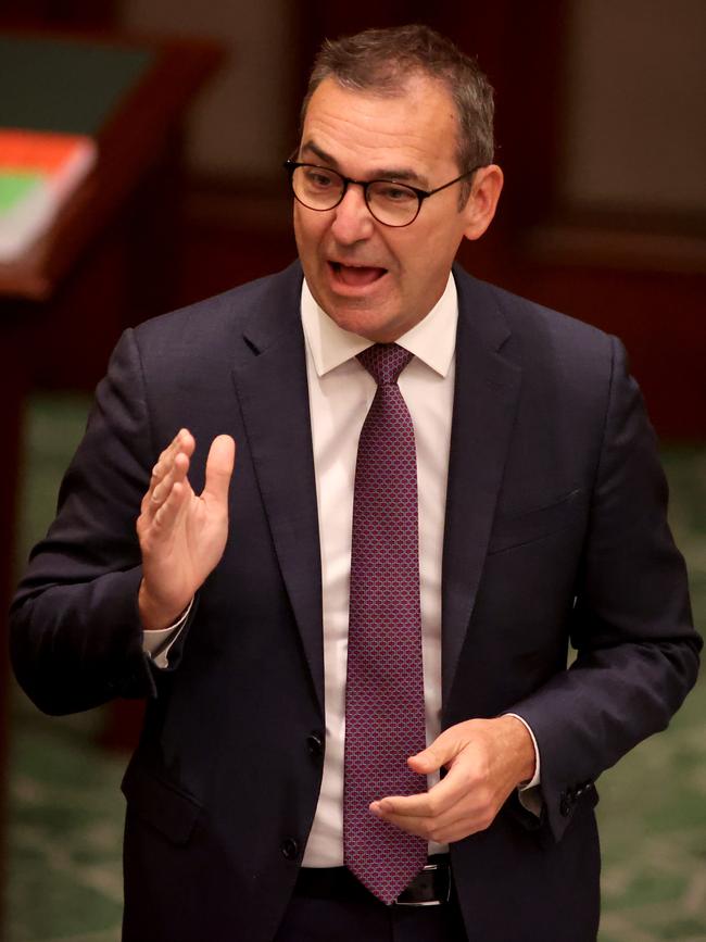 Premier Steven Marshall. Picture: NCA NewsWire / Kelly Barnes