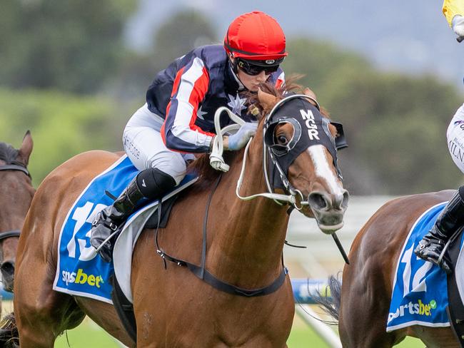 Gotta Go Guru, ridden by Taylor Johnstone, wins the Lord Reims Stakes at Morphettville on Saturday. Picture: Makoto Kaneko