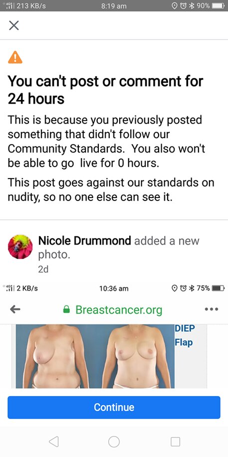 The link to a breast cancer website that set off nudity flags at Facebook