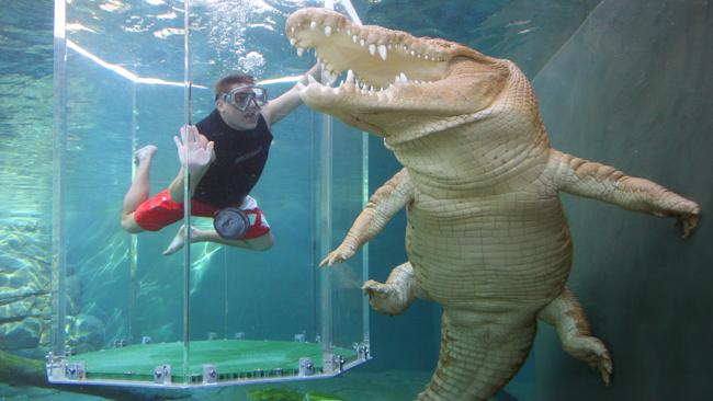 Getting up close and personal at Crocosaurus Cove. Picture: Supplied.