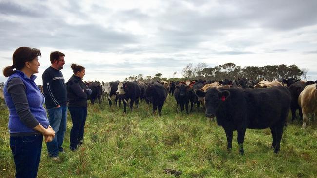 On a Meat Your Beef tour on King Island.