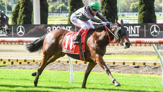 Title Fighter found trouble at his last outing in the Group 2 Australia Stakes at The Valley. Picture: Racing Photos via Getty Images.