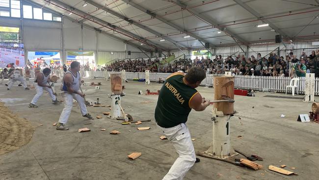 Watch the Ekka woodchopping championships live. Picture: Supplied