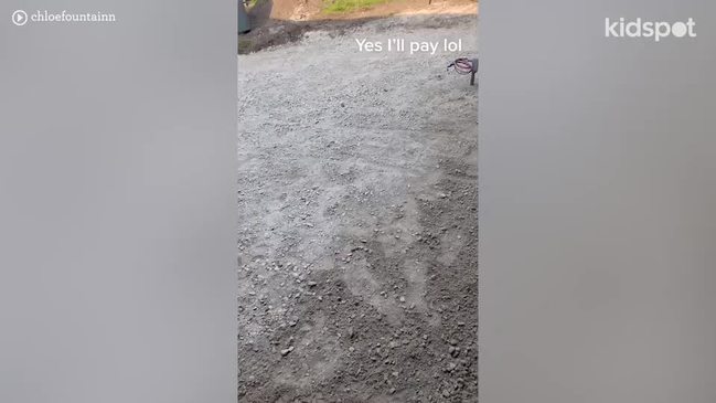 TikTokker didn't tell builders they were landscaping the wrong yard