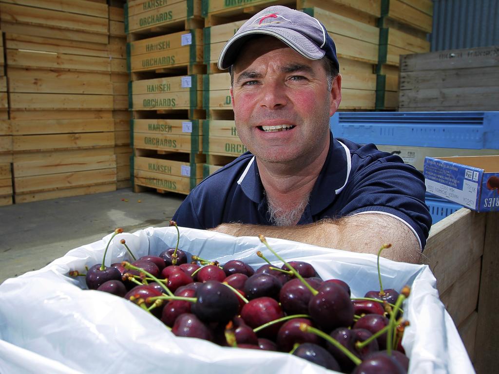 15. HOWARD HANSEN - Class of 1990. Owner of Hansen Orchards in the Huon Valley. Made the decision to diversify into cherries 20 years ago and has not looked back.