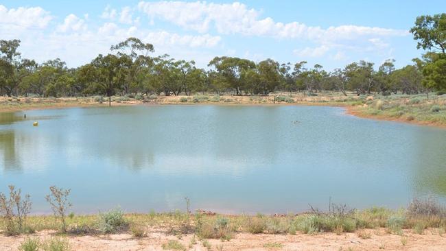 Six adjoining farms in western NSW are for sale.