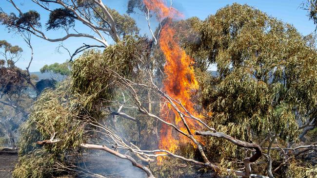 The Hepburn Springs bushfire. Picture: Jay Town