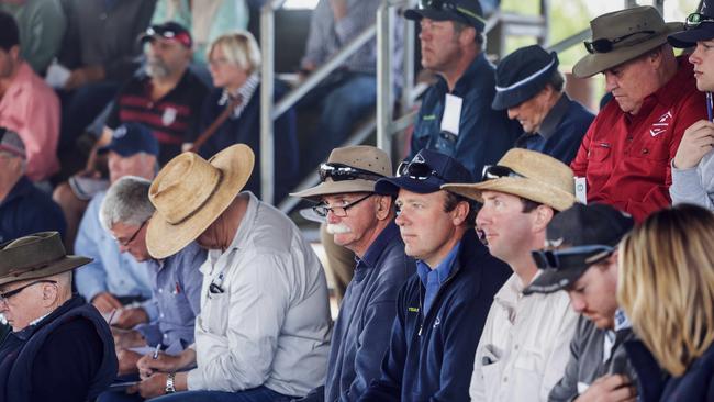 Yarram Park final bull sale.