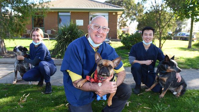 Number 6: Patterson Lakes Animal Hospital nurse Holly Mills with Rex, vet Tim Battaglene with Gijou and nurse Brian Chhour with Shifty. Picture: Josie Hayden