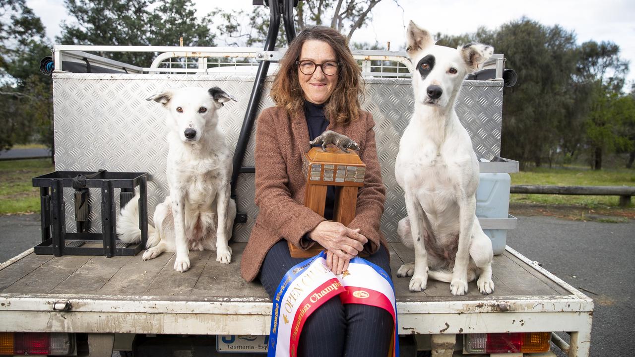 Carmen Blyth, with dogs Somerville Spec and Somerville Poppy, is the first female to win the Tasmanian Working Sheep Dog State Championships. Picture: Richard Jupec