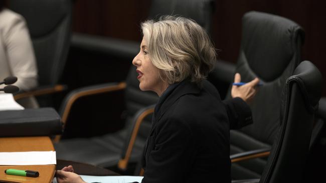 Parliament, Rosalie Woodruff MP. Picture Chris Kidd