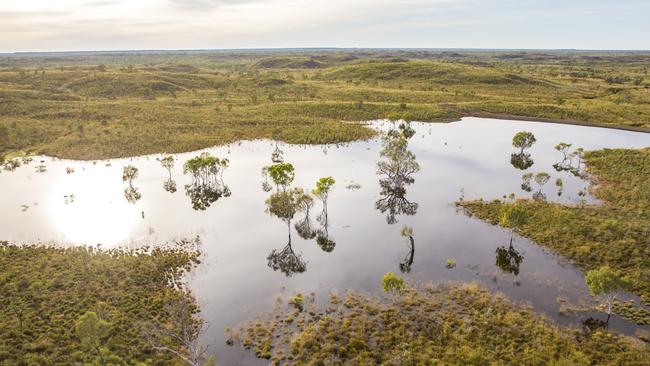 AIMCo’s Kimberley Cattle Portfolio.