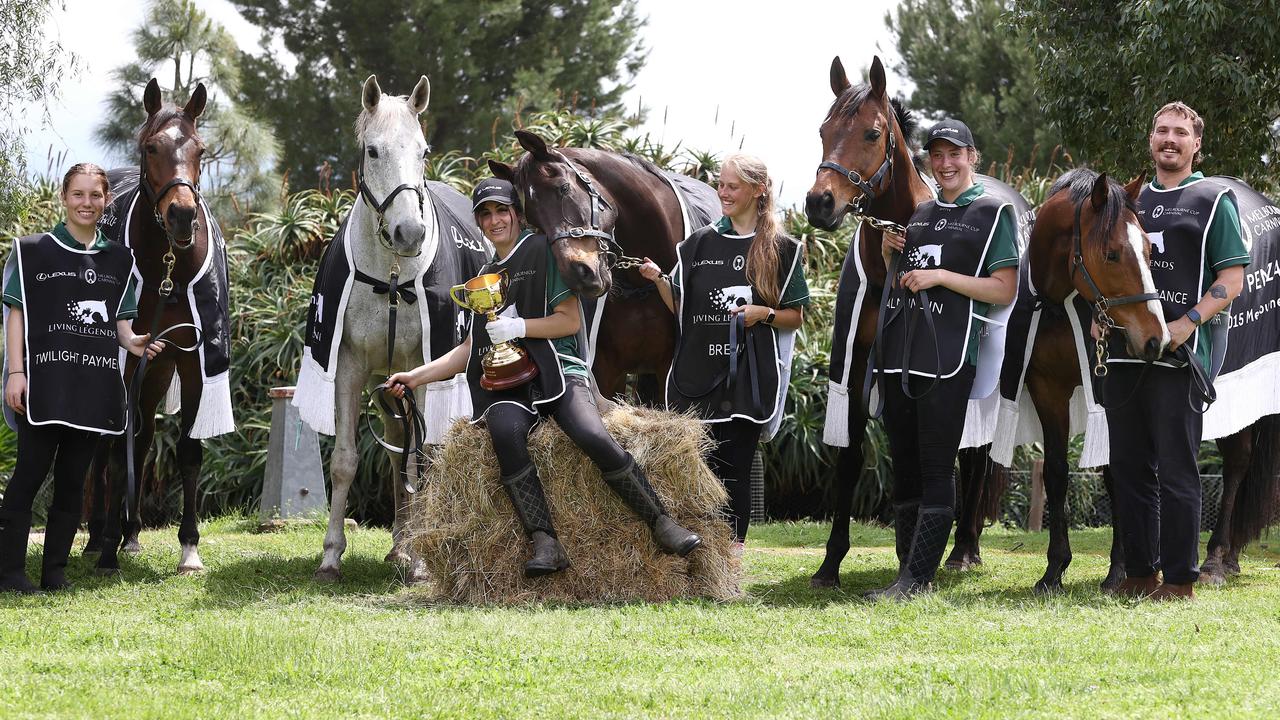 Five Melbourne Cup winners living the good life at Living Legends in Greenvale, just outside Melbourne, this week – (left to right), Twilight Payment (2020), Efficient (2007), Brew (2000), Almandin (2016) and Prince of Penzance (2015). Picture: Michael Klein