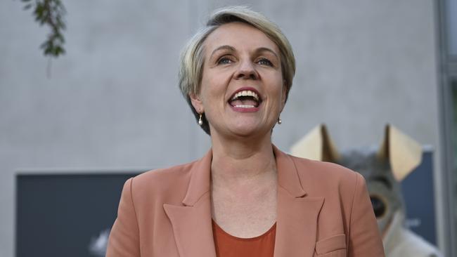 Environment and water minister Tanya Plibersek. Picture: Martin Ollman