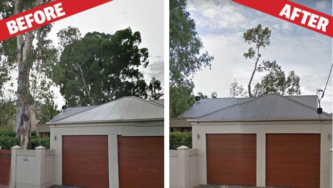 The house before and after the trees were heavily pruned, and a third tree was legally cut down.