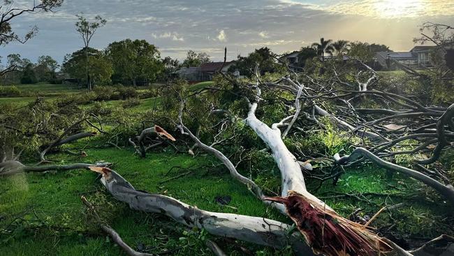 Fallen trees have caused traffic and pedestrian at Burleigh Waters on the Gold Coast after a massive storm swept through Christmas Night. Picture: NCA NewsWire / Scott Powick