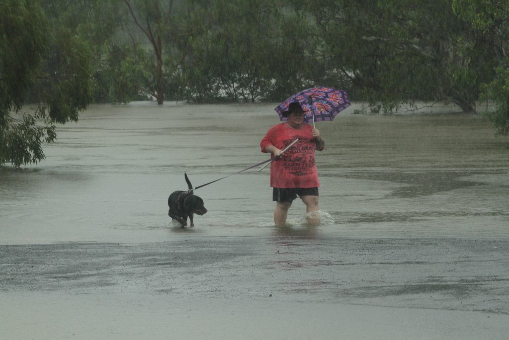 A dog needs to be walked no matter what the weather. Picture taken of the Mary River near the Lammington Bridge. Photo: Robyne Cuerel / Fraser Coast Chronicle. Picture: Robyne Cuerel