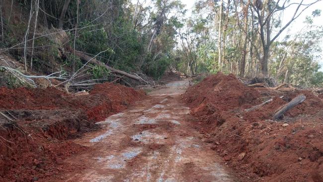 A modest trail has been fashioned over and through the wreckage along Cape Tribulation Road, giving patient residents access to the outside world.