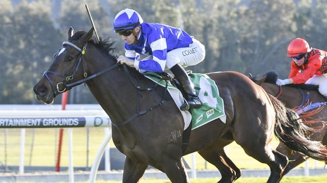 Lovero can kick off her campaign with a win at Canterbury on Friday night. Picture: Bradley Photos