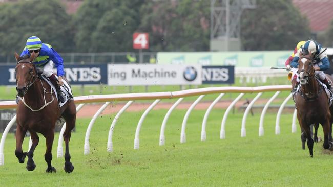 How far? The Ciaron Maher-trained Jameka and Hugh Bowman have effortlessly won the $1.5 million Group BMW at Rosehill. Picture: Simon Bullard.