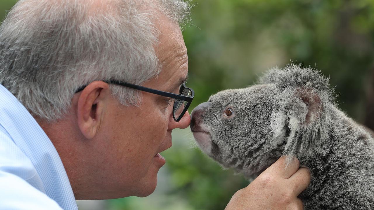 Prime Minister Scott Morrison with 4-year-old Lilly the koala at Australia Zoo. Photo: Annette Dew