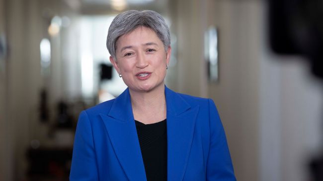 foreign-minister-penny-wong-speaks-about-ambassador-role-for-first