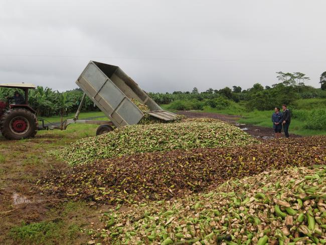 Craig Reucassel inspects a mountain of bananas discarded in just one day.