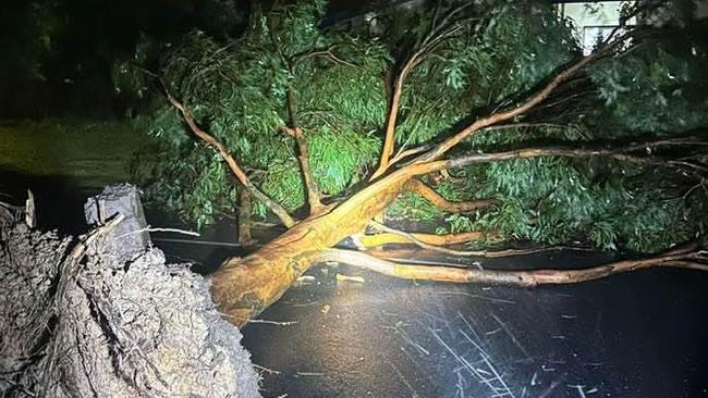 Cyclone Alfred hits Brisbane. Picture: Clint Melton, Murrumba Downs