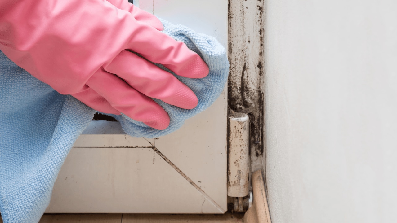 Moisture is the main culprit for mould outbreaks. Source: iStock