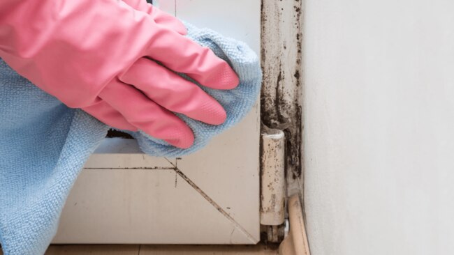 Moisture is the main culprit for mould outbreaks. Source: iStock