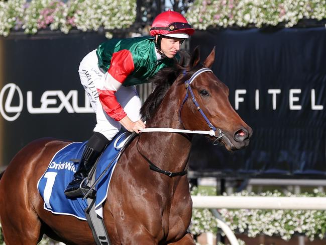 Amelia's Jewel on the way to the barriers prior to the running of the Furphy Let's Elope Stakes at Flemington Racecourse on September 16, 2023 in Flemington, Australia. (Photo by George Sal/Racing Photos via Getty Images)