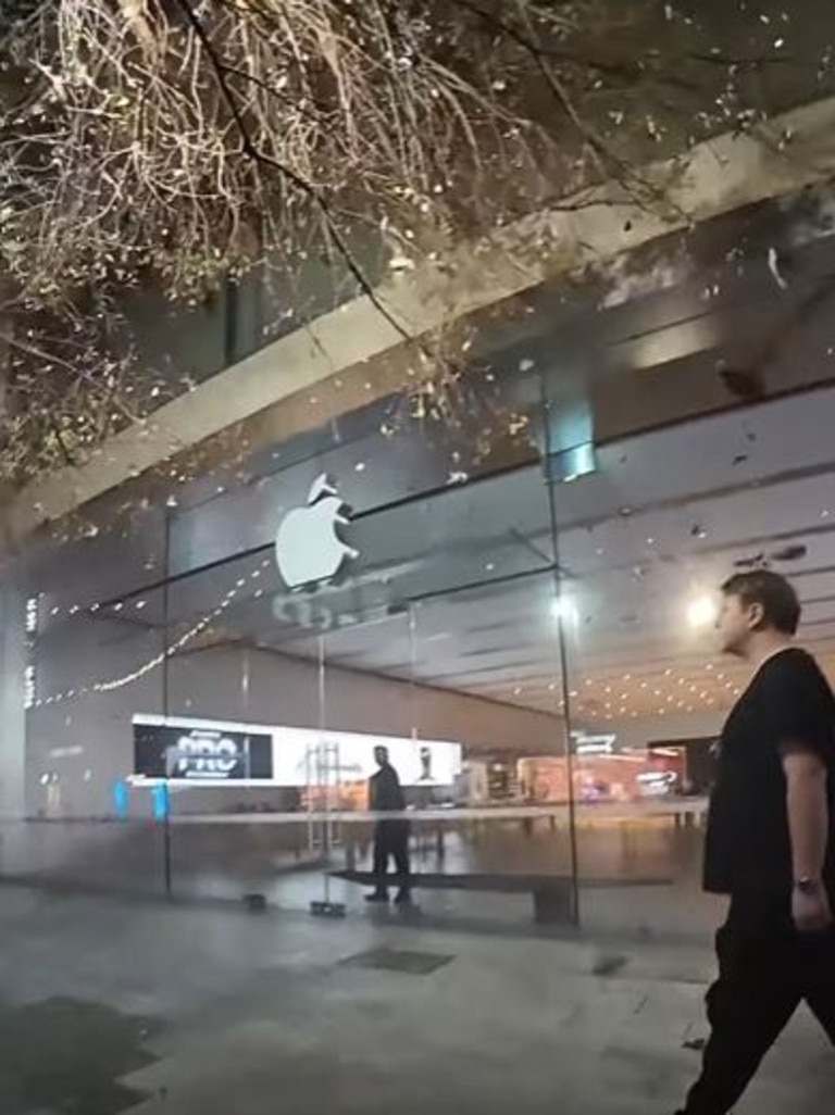 Shock footage captured the moment the birds flew out of the nearby tree. Picture: Storyful