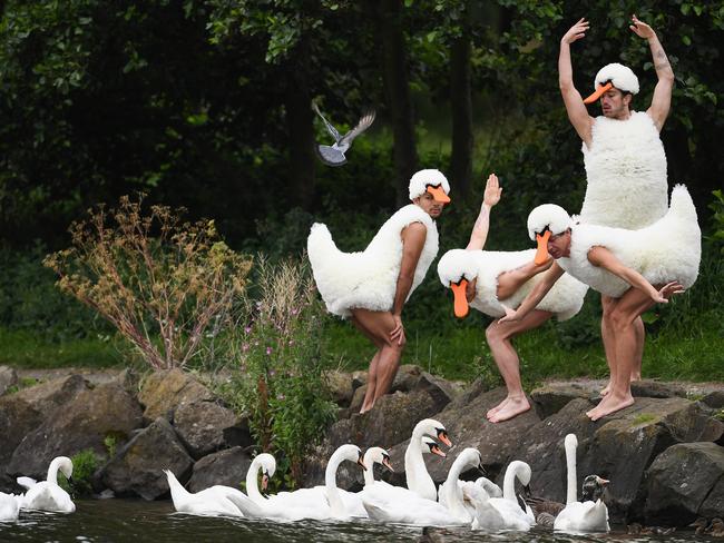 Dancers from ‘Tutu’, perform at St Margaret’s Loch in their spoof Swan Lake costumes on August 10, 2017 in Edinburgh, Scotland. Their Edinburgh Festival Fringe show is an invitation to those who love dance to experience familiar favourites, in an opportunity to explore some of the most famous and significant works in the repertoire from Swan Lake to Pina Bausch in a fun way with with a twist. Picture: Jeff J Mitchell/Getty Images