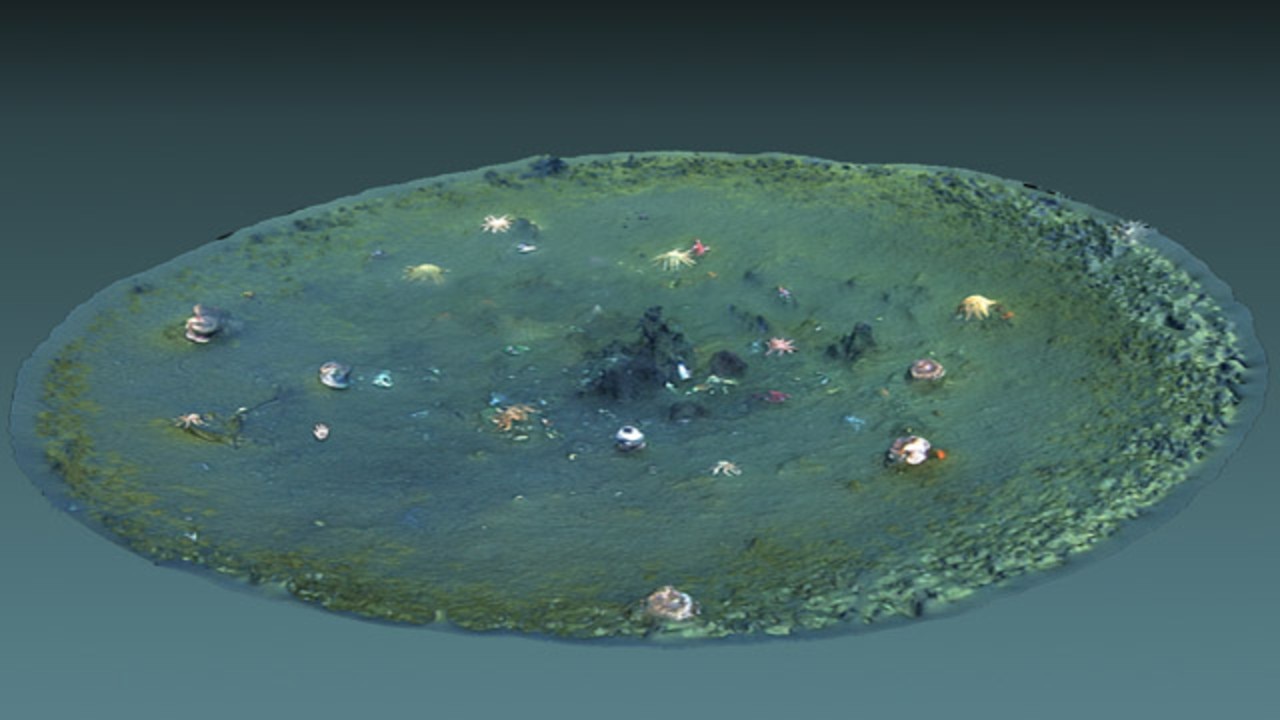 A computer-generated 3D view of a micro-depression. The image was created using underwater video from an underwater drone. Image: Ben Erwin © 2019 MBARI