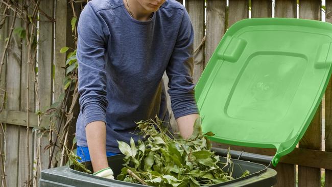 Holdfast Bay Council will trial collecting green bins weekly and red-lidded bins fortnightly.