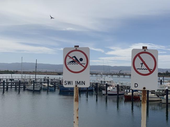 Fisherman's Jetty moorings will come with a $350 sinking fee for uninsured boats to ensure potential council costs are covered. Picture: Isaac Selby