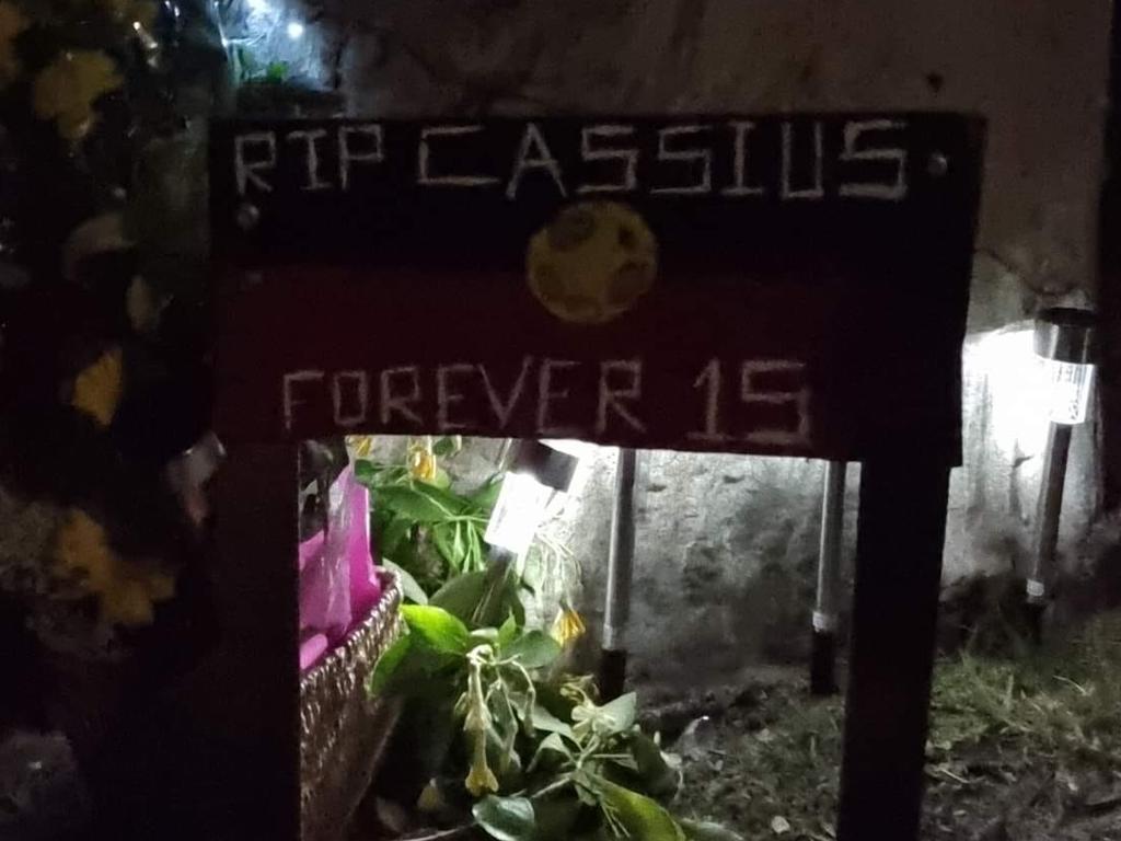 A memorial has been erected for Cassius. Picture: Facebook