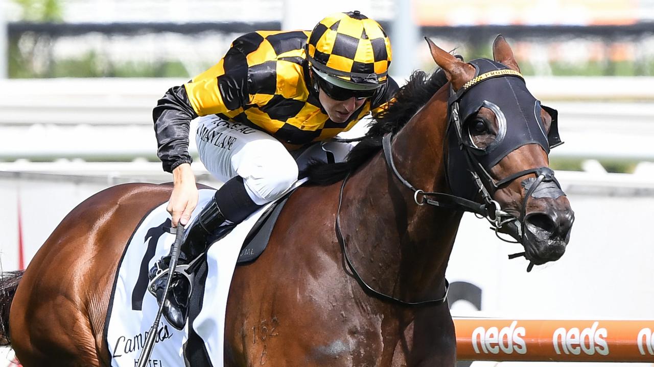 Horse Racing Tips: Caulfield Best Bets, Tips, Preview With Brad Waters ...