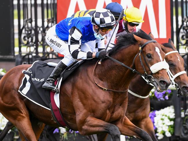 Ashrun (FR) ridden by Kerrin McEvoy wins the Lexus Hotham Stakes at Flemington Racecourse on October 31, 2020 in Flemington, Australia. (Natasha Morello/Racing Photos via Getty Images)