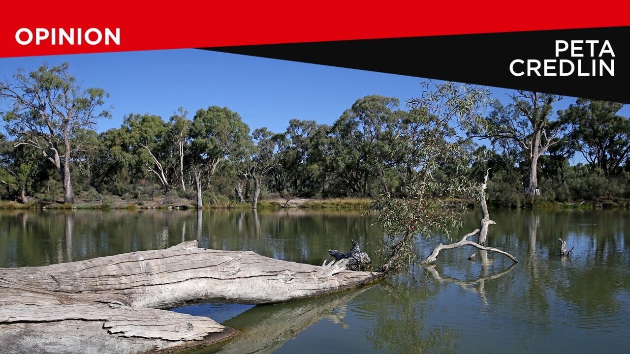 PM should announce Bradfield Water Scheme for best chance of winning: Credlin