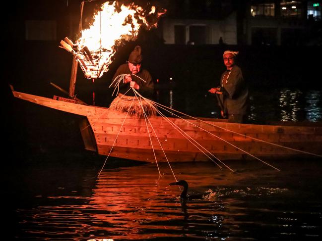 TRAVEL FEATURE PHOTO ESSAY: Cormorant fishing on the Nagara River has played a vital role in the history of the city of Gifu in Gifu Prefecture, Japan. The practice is a 1,300-year-old tradition where fishing masters - known as ushō - use Japanese cormorants to catch fish, primarily ayu (sweetfish). As a sign of respect for the skills of these fishing masters, they have received the official title of “Cormorant Fishermen of the Imperial Household Agency,” a hereditary title that is passed from father to son through the ages. It takes at least ten years to become a cormorant fishing master, with the the first fish caught each year being sent to the royal family at the Imperial Palace in Tokyo. Picture: Nicholas Eagar