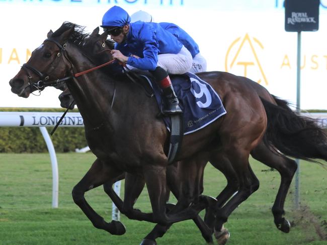 Brigantine at Randwick. Picture: Grant Guy