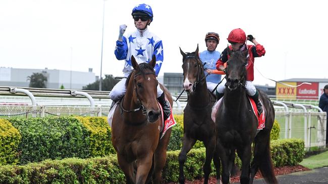 Kyle Wilson-Taylor returning after scoring the Group 3 George Moore Stakes at Doomben last Saturday. Picture: Grant Peters, Trackside Photography.