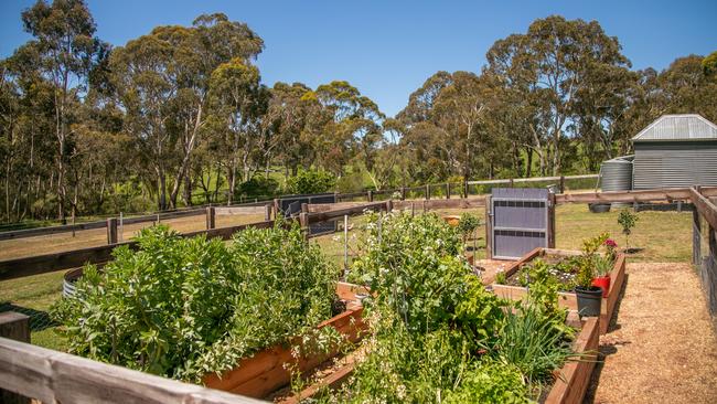 Grow your own vegetables.